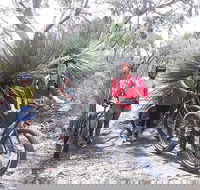 2 Hour Bike Tour in Kangaroo Island - Accommodation Mermaid Beach