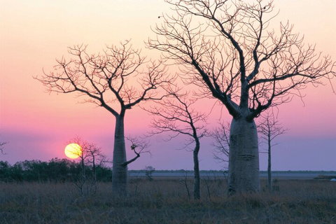 8-Day Outback Experience From Queensland - Accommodation Mermaid Beach 5