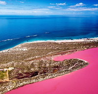 Pink Lake Small-Group Buggy Tour - Accommodation Mermaid Beach