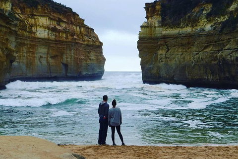 Great Ocean Road Small-Group Ecotour From Melbourne - Accommodation Mermaid Beach 1