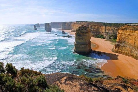 Great Ocean Road Small-Group Ecotour From Melbourne - Accommodation Mermaid Beach 2