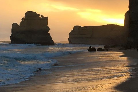 Great Ocean Road Small-Group Ecotour From Melbourne - Accommodation Mermaid Beach 5