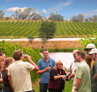 Yarra Valley Wine and Winery Tour from Melbourne - Accommodation Mermaid Beach