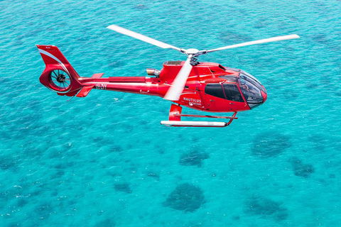 Helicopter And Cruise Packages From Port Douglas - Accommodation Mermaid Beach 5
