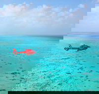 Port Douglas Scenic Flights - Accommodation Mermaid Beach