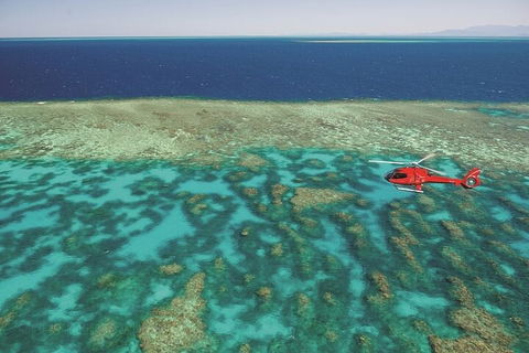Ultimate Great Barrier Reef And Rainforest 45-minute Helicopter Tour - Accommodation Mermaid Beach 1