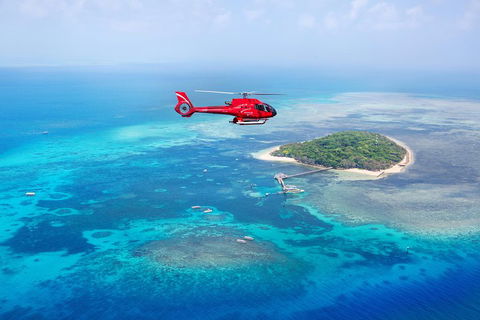 Ultimate Great Barrier Reef And Rainforest 45-minute Helicopter Tour - Accommodation Mermaid Beach 4
