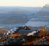 Mt. Wellington Bonorong and Richmond Day Tour from Hobart - Accommodation Mermaid Beach