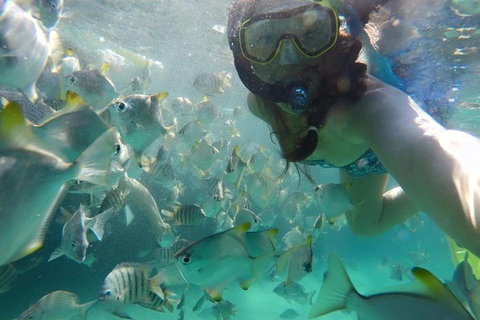 2-Day Moreton Island 4WD Camping Tour From Brisbane - Accommodation Mermaid Beach 0