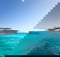 Fremantle to Rottnest Island Roundtrip Ferry Ticket - Accommodation Mermaid Beach
