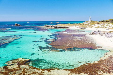 Rottnest Island All-Inclusive Grand Island Tour From Fremantle - Accommodation Mermaid Beach 1