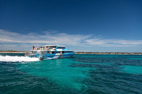 Rottnest Island All-Inclusive Grand Island Tour From Fremantle - Accommodation Mermaid Beach 3