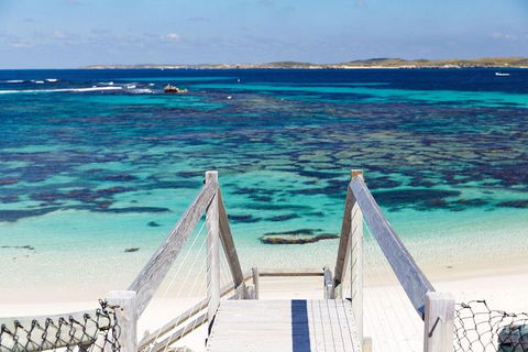 Rottnest Island All-Inclusive Grand Island Tour From Fremantle - Accommodation Mermaid Beach 4