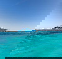 Rottnest Island Fortress Adventure Segway Package from Fremantle - Accommodation Mermaid Beach