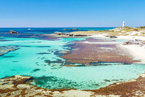 Rottnest Island Bike, Snorkel & Ferry Package From Perth - Accommodation Mermaid Beach 5