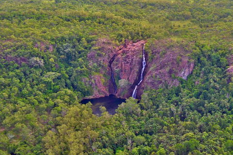 Litchfield Park & Daly River - Scenic Flight From Darwin - Accommodation Mermaid Beach 0
