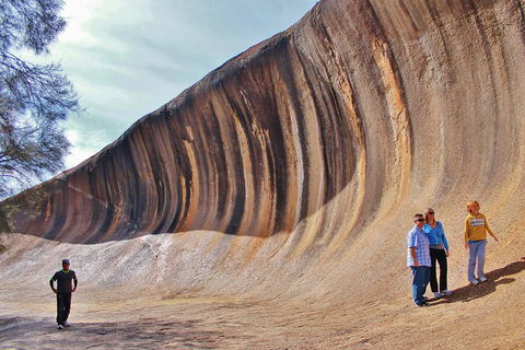 Wave Rock & Rottnest Island - Air & Ground Tour - Accommodation Mermaid Beach 2