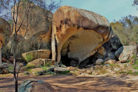 Wave Rock & Rottnest Island - Air & Ground Tour - Accommodation Mermaid Beach 4