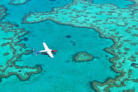 Fly & Sail Package (With Providence) - Accommodation Mermaid Beach 4