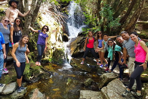 7-Day Super Value Tour Of Tasmania: Explore Tasmania's West And East Coasts - Accommodation Mermaid Beach 2