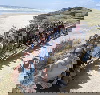 3 Day Tasmanian Wild West Coast Tour from Hobart to Launceston - Accommodation Mermaid Beach