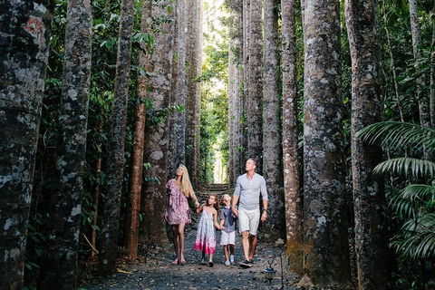 The Original Day Tour To Paronella Park, Lake Barrine And Millaa Millaa Falls - Accommodation Mermaid Beach 1