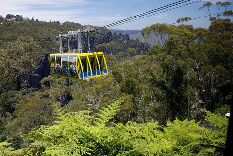Go City | Sydney Explorer Pass With 20+ Attractions And Tours - Accommodation Mermaid Beach 0