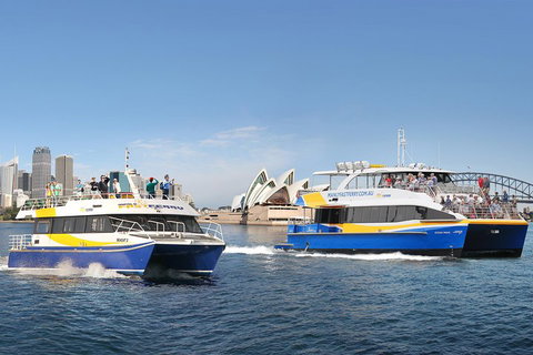 Go City | Sydney Explorer Pass With 20+ Attractions And Tours - Accommodation Mermaid Beach 5