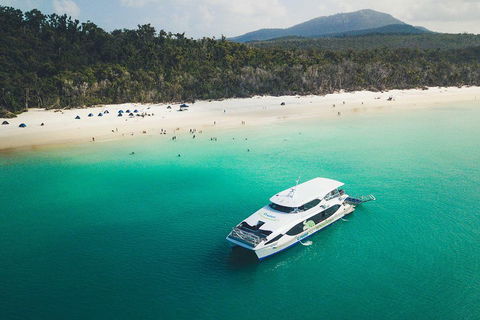 Whitehaven Beach Half-Day Cruises - Accommodation Mermaid Beach 2