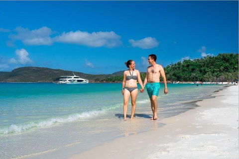 Whitehaven Beach Half-Day Cruises - Accommodation Mermaid Beach 3