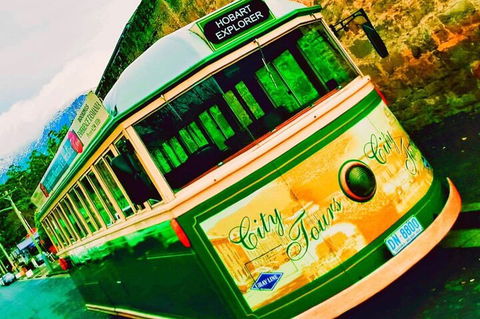 Hobart Half-Day Sightseeing Coach Tram Tour - Accommodation Mermaid Beach 5