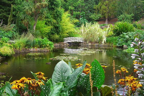 Hobart City Sightseeing Tour Including MONA Admission - Accommodation Mermaid Beach 3