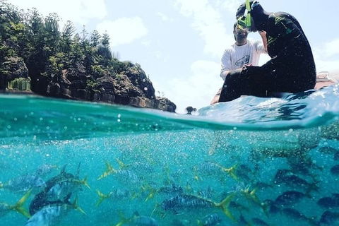 2 Night Small Group Whitsundays Sailing Adventure Aboard Mandrake - Accommodation Mermaid Beach 5
