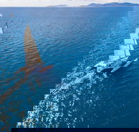 2-Night Whitsunday Islands Sailing Adventure on Trimaran Avatar - Accommodation Mermaid Beach