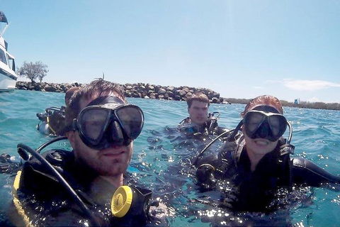 Wave Break Island Scuba Diving On The Gold Coast - Accommodation Mermaid Beach 0