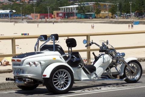 Sydney Six Beaches Trike Tour - Accommodation Mermaid Beach 1