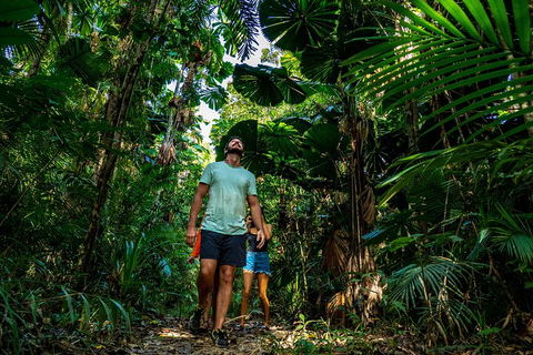 Full Day Daintree Rainforest And Mossman Gorge Tour - Accommodation Mermaid Beach 0