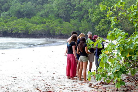 Full Day Daintree Rainforest And Mossman Gorge Tour - Accommodation Mermaid Beach 2