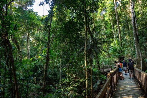 Full Day Daintree Rainforest And Mossman Gorge Tour - Accommodation Mermaid Beach 5