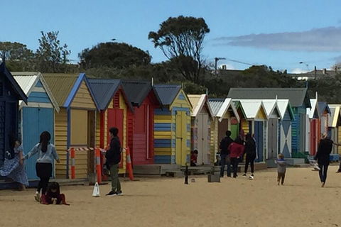 Private Half Day Melbourne City Tour With Local Guide - Accommodation Mermaid Beach 2