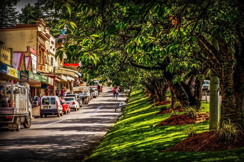 Fully Inclusive Blue Mountains Private Tour Inc Scenic World & Featherdale Entry - Accommodation Mermaid Beach 0