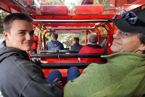 Fully Inclusive Blue Mountains Private Tour Inc Scenic World & Featherdale Entry - Accommodation Mermaid Beach 1