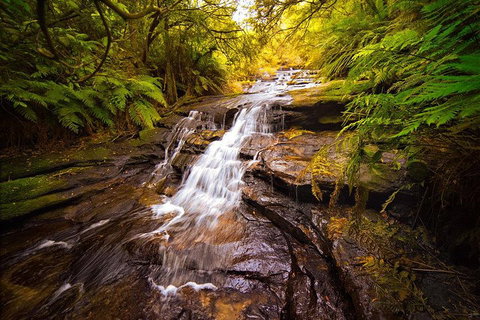 Fully Inclusive Blue Mountains Private Tour Inc Scenic World & Featherdale Entry - Accommodation Mermaid Beach 3