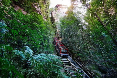 Fully Inclusive Blue Mountains Private Tour Inc Scenic World & Featherdale Entry - Accommodation Mermaid Beach 4