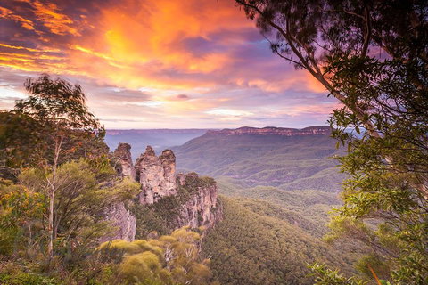Fully Inclusive Blue Mountains Private Tour Inc Scenic World & Featherdale Entry - Accommodation Mermaid Beach 5