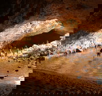 Windjana Explorer - Accommodation Mermaid Beach