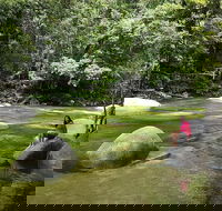Daintree Dreaming Traditional Aboriginal Fishing from Cairns or Port Douglas - Accommodation Mermaid Beach
