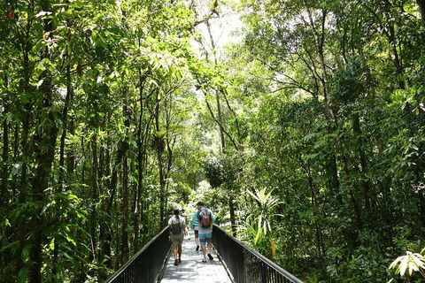 Daintree Dreaming Traditional Aboriginal Fishing From Cairns Or Port Douglas - Accommodation Mermaid Beach 3