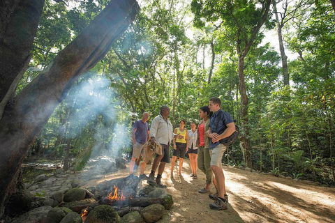 Daintree Dreaming Traditional Aboriginal Fishing From Cairns Or Port Douglas - Accommodation Mermaid Beach 5