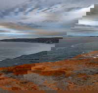 Kangaroo Island Luxury Small Group 'Flinders Chase Focus' Full Day Tour - Accommodation Mermaid Beach